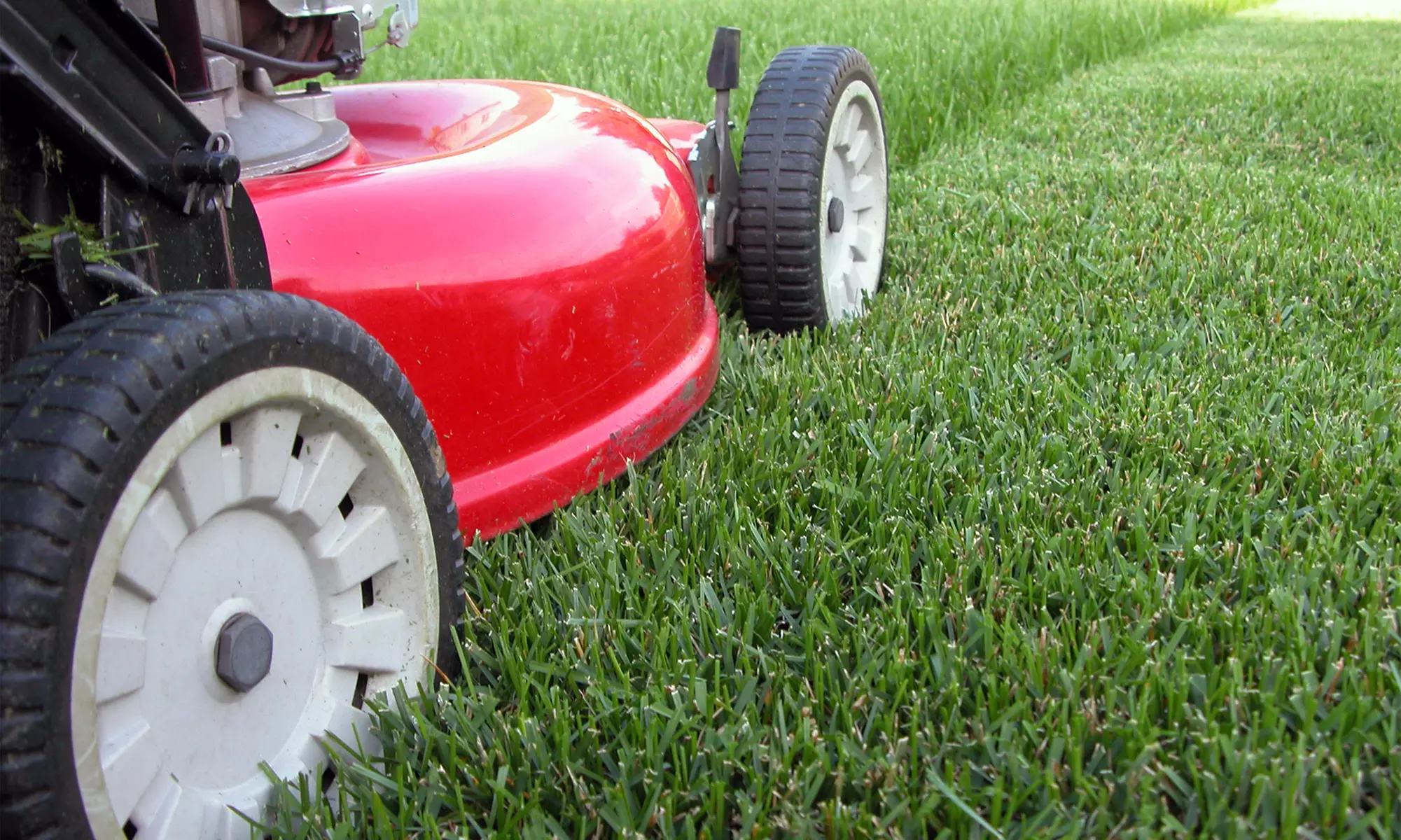 $20 for $40 Worth of Lawn Equipment, Services, and Parts at Alan's Lawnmower & Garden Center, Inc. - Primary Image