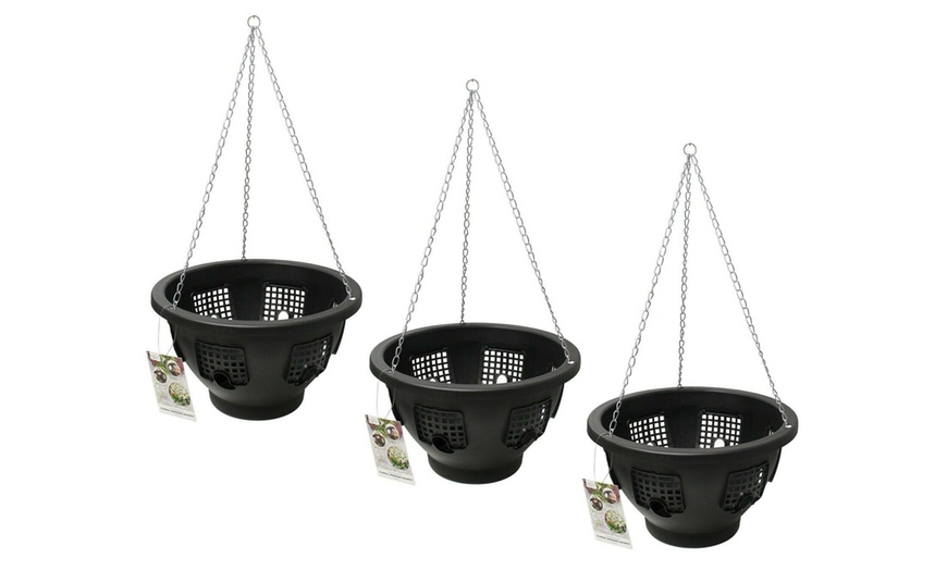 Image 3: Two, Three or Four Flower Bloom Hanging Baskets