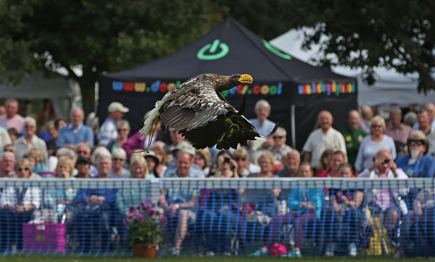 Image 11: Southport Flower Show Tickets