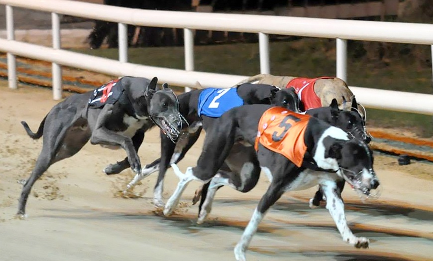 Image 1: Greyhound Racing With Burger