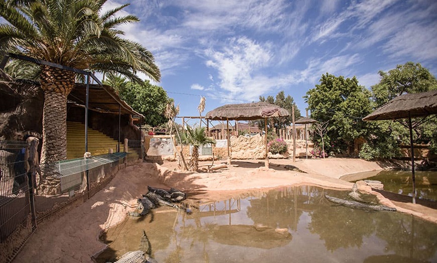 Image 6: Entrada a Cocodrilo Park Zoo para niños y adultos con comida y bebida