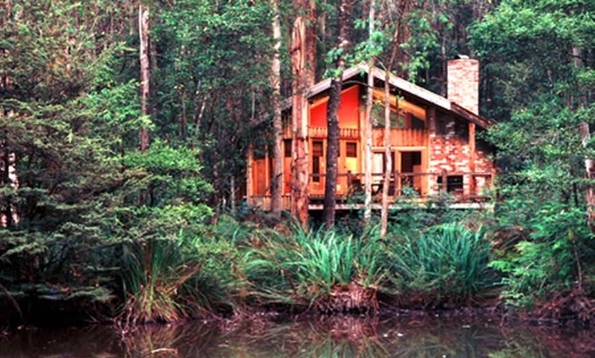 Woodlands Rainforest Retreat | Groupon