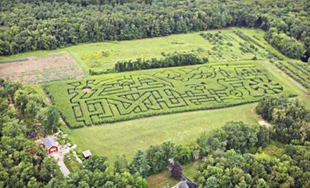 Corn-Maze Adventure for 2, 4, or 10 with a Free Hayride at Schartner Farms (Up to 55% Off) - Primary Image