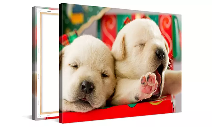 Custom Canvas Prints from CanvasOnSale - Primary Image