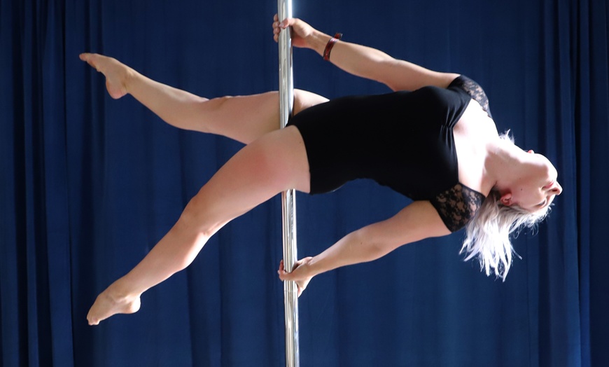 Image 2: Pole-Dance-Kurs