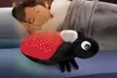 $19 for a Discovery Kids Firefly Star Projection Night-Light ($29.99 List Price). Free Shipping and Free Returns. - Second Medium