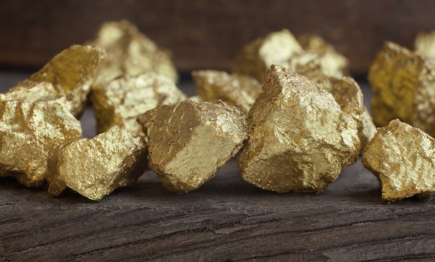 Gold-Mining Experience - Julian Mining Company | Groupon