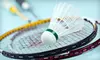 $10 Worth of Badminton Courts and Equipment