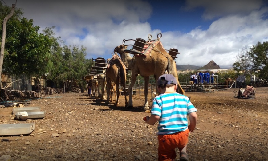 Image 12: Paseo a camello para 2 o 3 personas en Camel Park