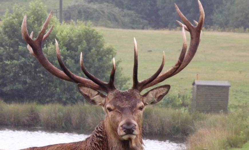 Image 1: Farm Entry and Deer Safari