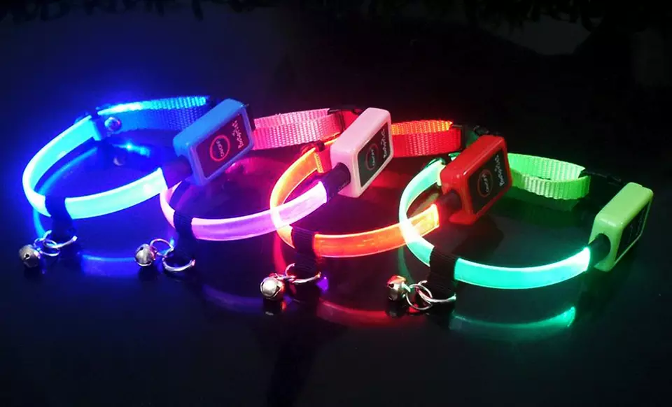 LED Cat Collar. Multiple Colors Available. Free Returns. - Primary Image
