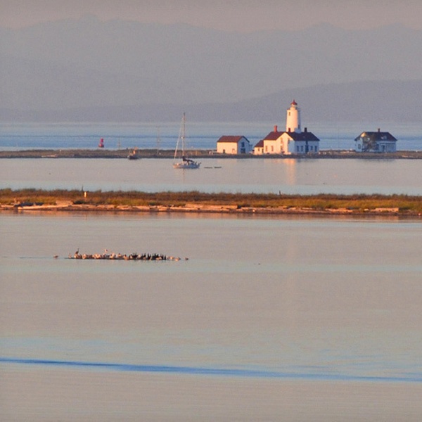 Juan De Fuca Cottages Groupon