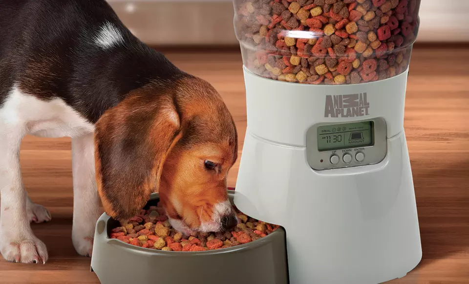 Animal Planet Electronic Pet Feeder or Automatic-Flow Pet Water Fountain (Up to 42% Off). Free Shipping and Returns. - Primary Image