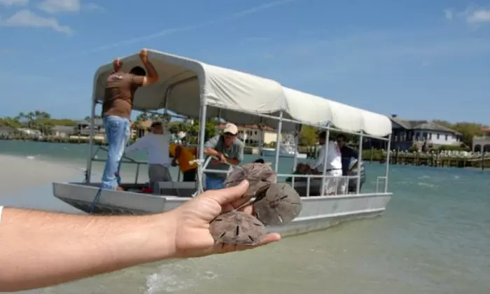 Guided Boat Eco Tour for Two or Four from Ponce Inlet Water Sports (Up to 51% Off) - Primary Image