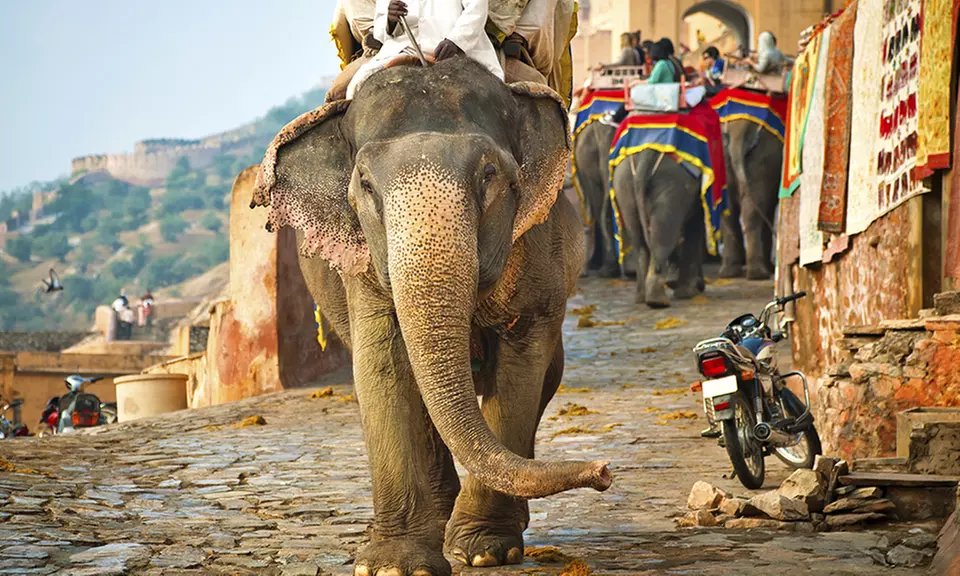 ✈ 15-Day Tour of India with Airfare from Indus Travels. Price per Person Based on Double Occupancy. - Second Medium