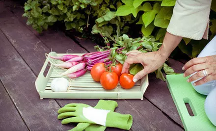 $29 for a 2.5-Hour Organic City-Farming Workshop with Seed Starter Kit from Fresh City ($64.99 Value) - Primary Image