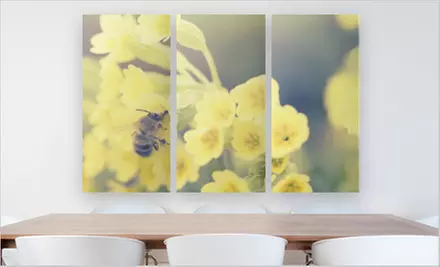 Canvas on Demand 36”x24” or 45”x30” Triptych PhotoSplit (Up to 80% Off). Free Shipping. - Second Medium