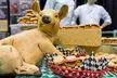 Baconfest Chicago on April 30 and May 1 - Second Medium