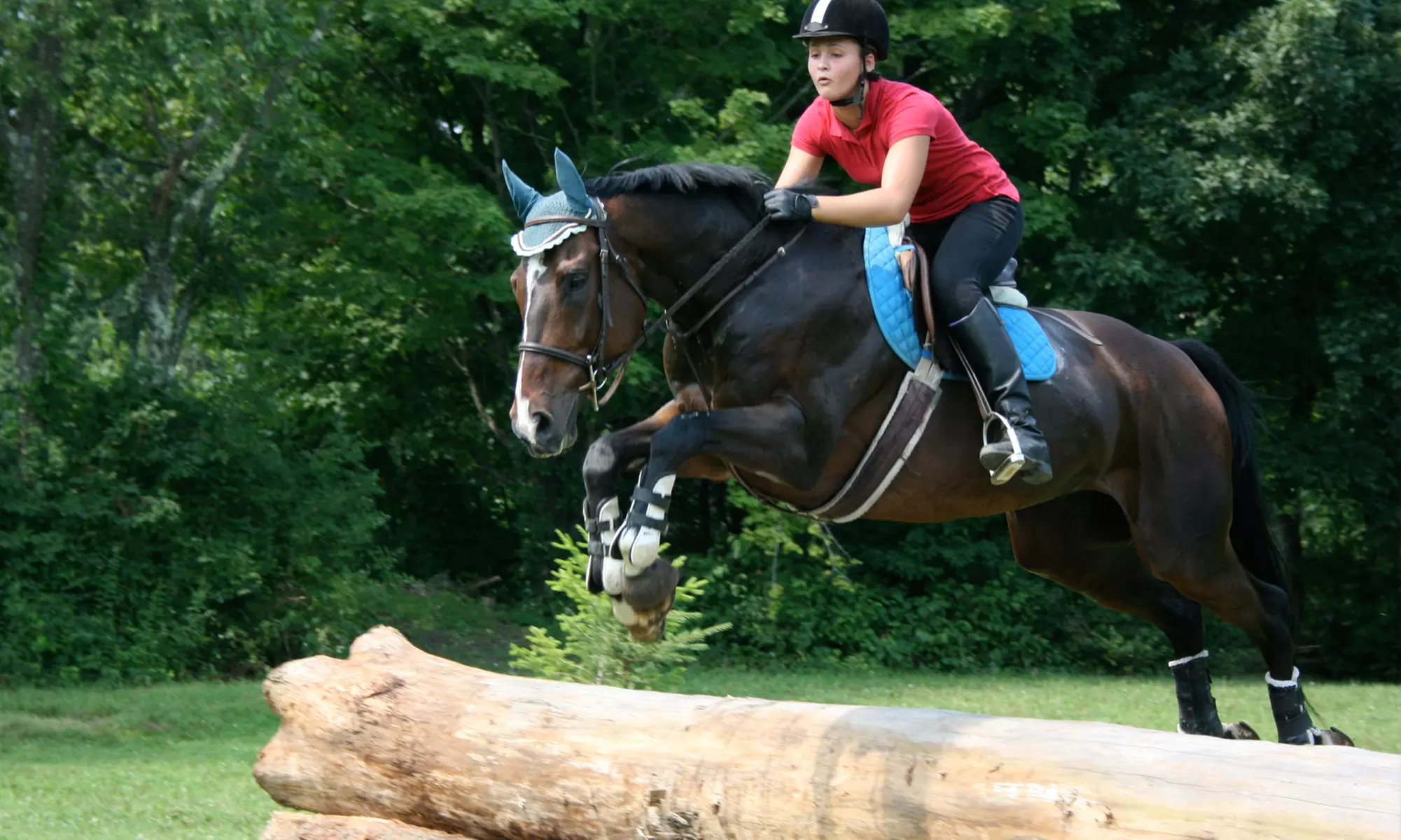 One or Three 60-Minute Horseback-Riding Lessons for Two at Another Farm (Up to 54% Off) - Primary Image
