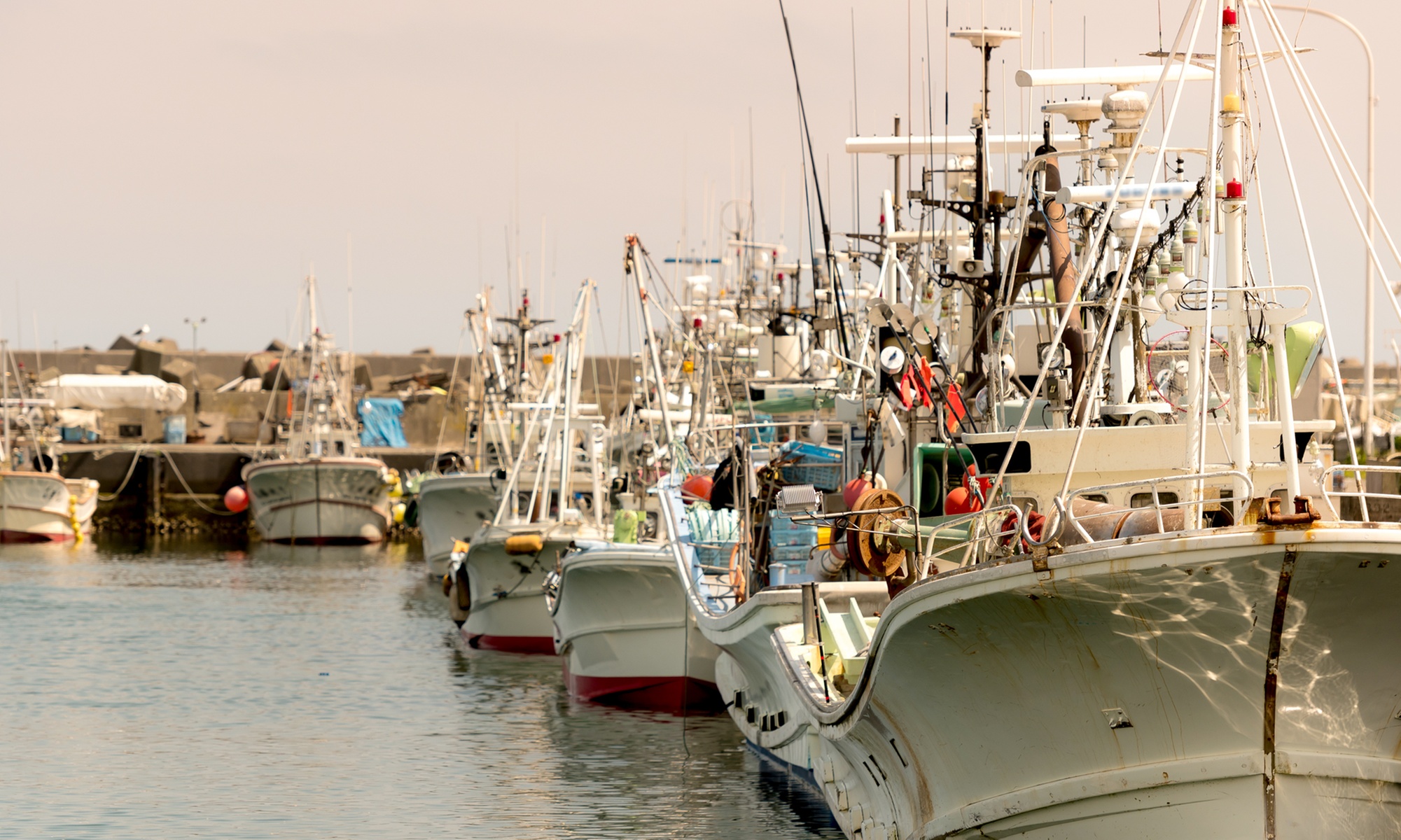 Aquaculture and Fisheries Management or Membership to 2500+ Courses