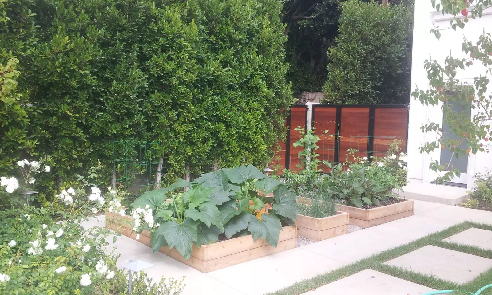 $200 for $500 Worth of Landscaping — Edible Landscapes La - Primary Image