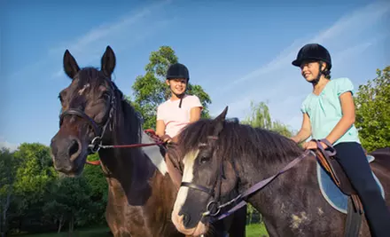 One or Three Horseback-Riding Lessons at Guerrero Equestrian in East Hampton (Up to 57% Off) - Primary Image