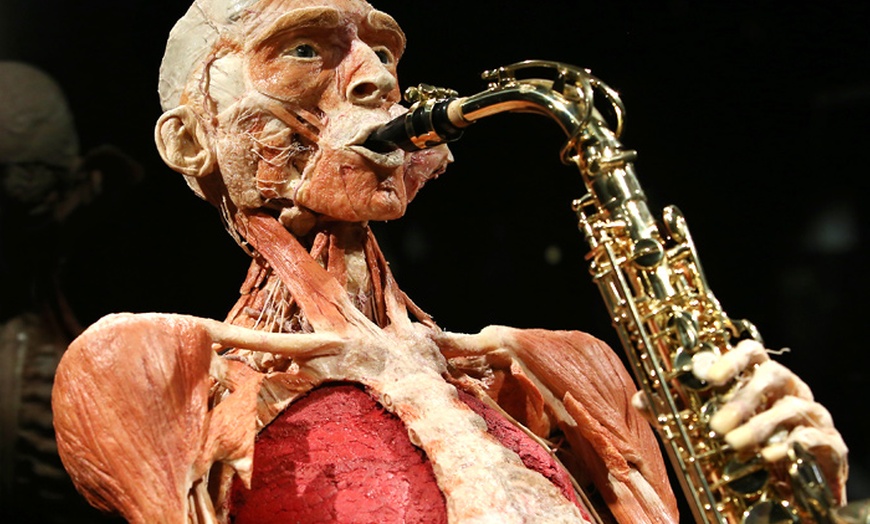 Image 1: Body Worlds The Happiness Project