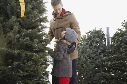 One Noble Fir Christmas Tree (4-5 Ft) with Candy Cane - Christmas Trees 4 Less
