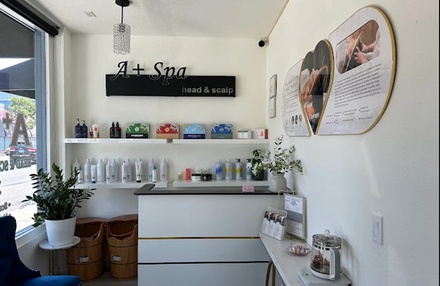 60 Minute Signature Head Spa Treatment with Massage on Neck, Shoulders, Head and Scalp - A+ Spa 