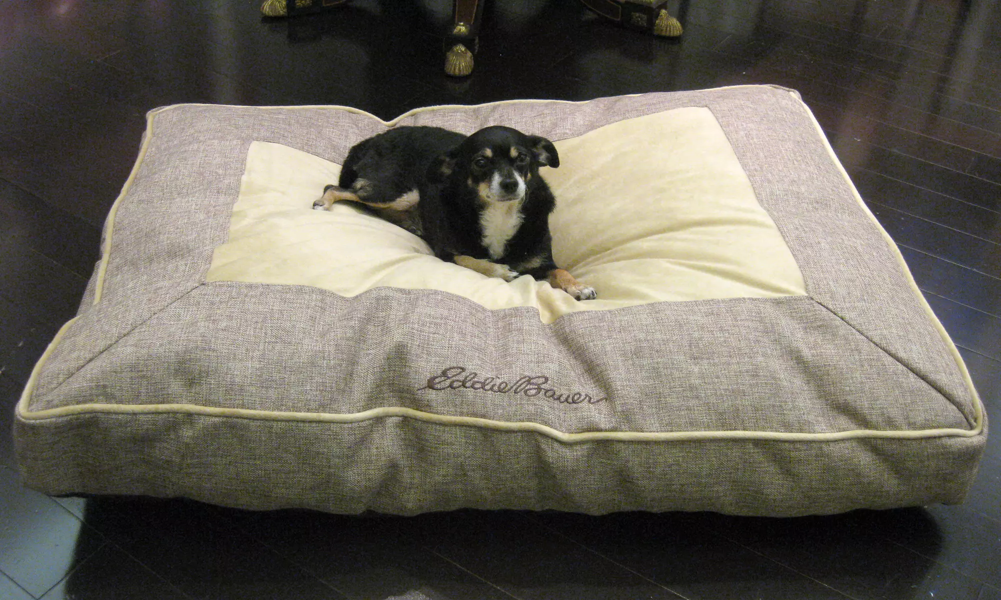 Eddie Bauer 30"x40" Linen Gusset Dog Bed - Primary Image