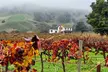 Private 5-Hour Sonoma Wine Tour: Visit 2 Curated Wineries, Scenic Drives & More for Up to 14 (Up to 50% Off) - Second Medium