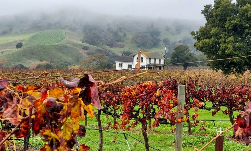 Image 5: Private Wine Tour: 2 Curated Wineries & Luxury Sprinter from SF