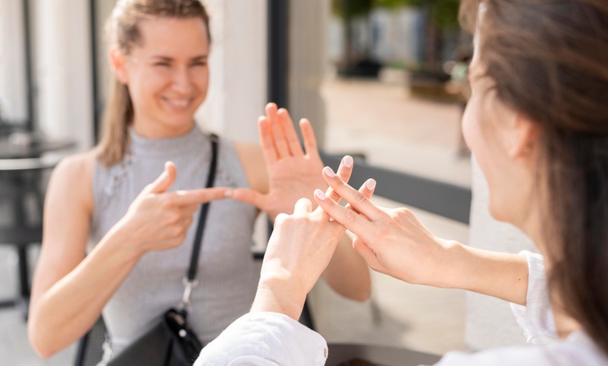 Image 1: Formation en langue des signes française avec Danslabox.com