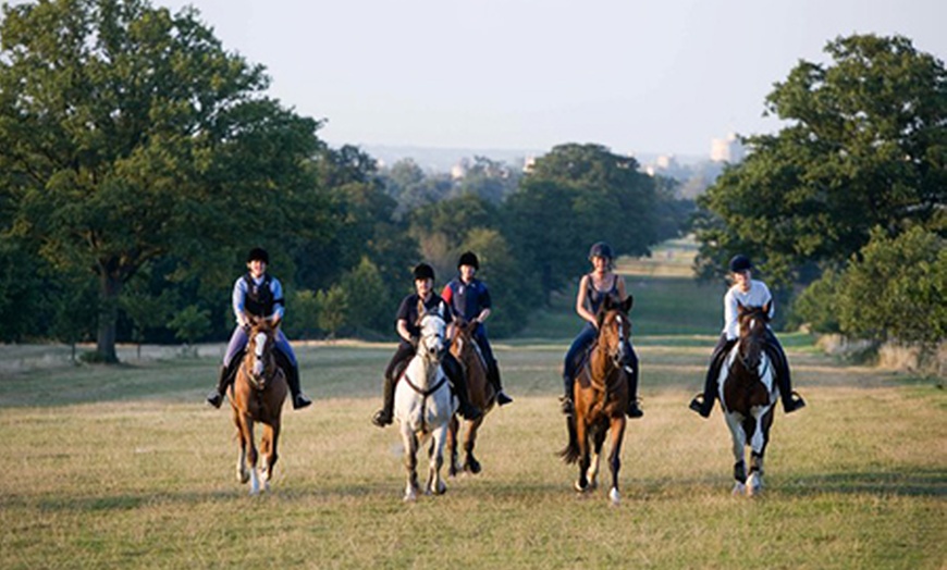 Image 2: Horse Riding in Windsor