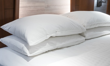 1 o 2 cuscini in microfibra disponibile in 2 dimensioni