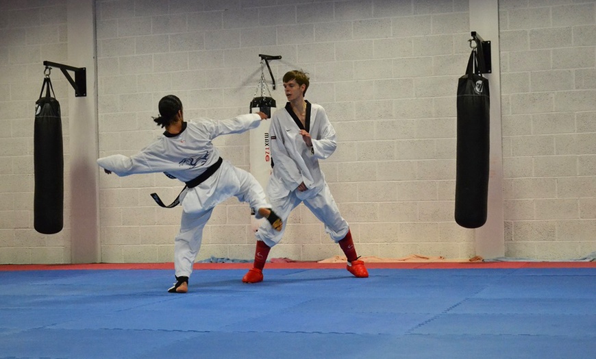 Image 6: Two Kids Taekwondo Lessons