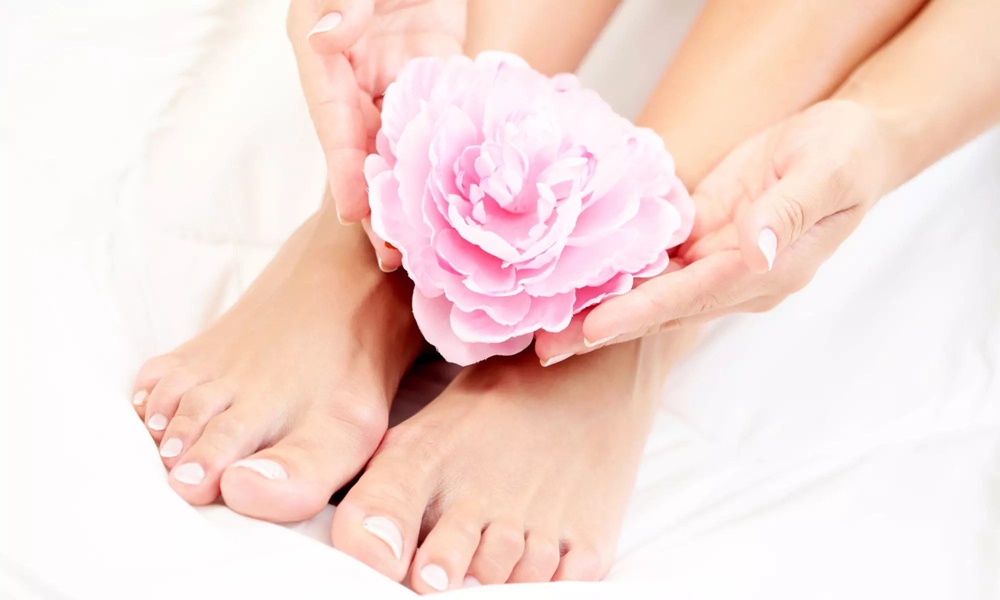 $39 for One No-Chip Manicure with a Regular Pedicure at Creative Nails Too ($80 Value) - Primary Image