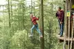 Gorillas' or Baboons' Tree Top Adventures at Go Ape, 29 Locations - Image 4
