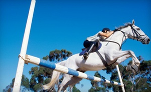 Up to Half Off Horseback-Riding Lessons 