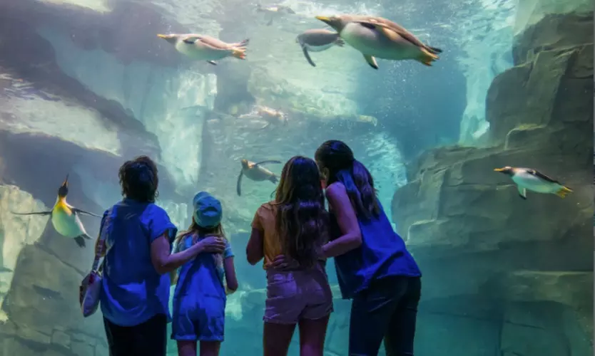 END OF SUMMER SALE! Save 58% on SeaWorld Orlando Tickets!