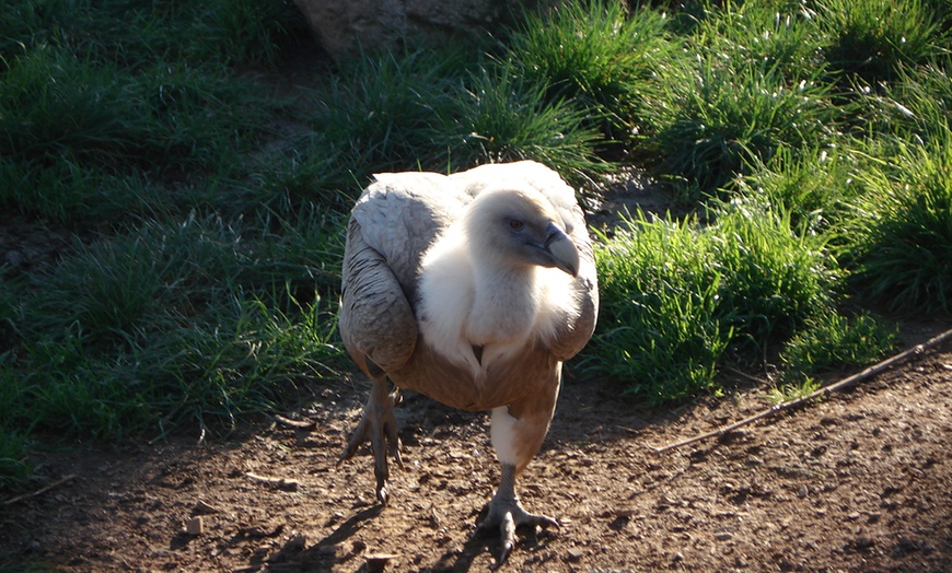 Image 15: Zoo de Fréjus : les animaux comme vous ne les avez jamais vus !