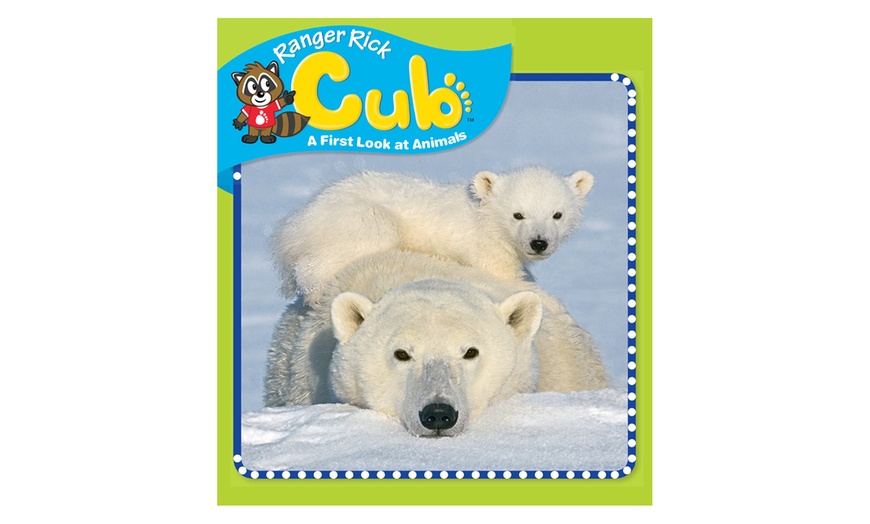 Ranger Rick Cub Subscription Groupon Goods