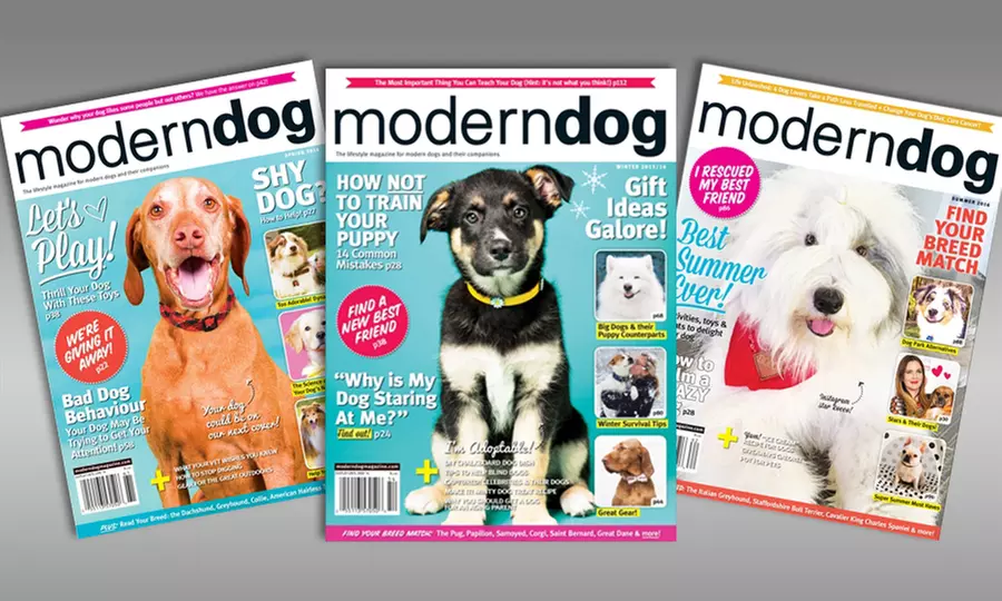 1-Year, 4-Issue Subscription to "Modern Dog" Magazine - Primary Image
