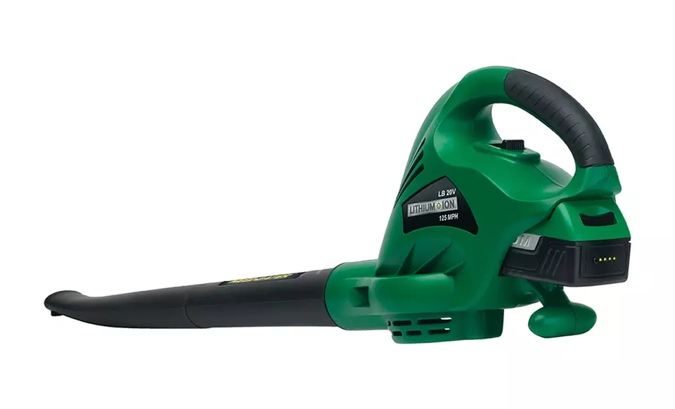 Weed Eater Cordless 22" Hedge Trimmer and Cordless Blower Combo Pack. Free Returns. - Second Medium