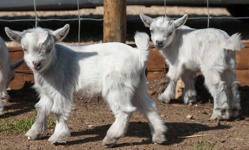 Image 2: Entry to Chew Valley Country Farm