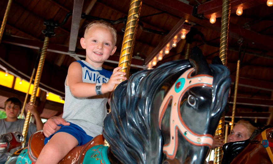 Image 2: All-Day Fun Pass at DelGrosso's Park - Rides & Water Park Admission!