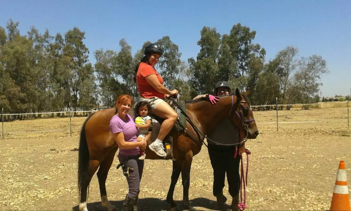One-Hour Horseback-Riding Lesson at Healing Hands Horsemanship, Inc. (27% Off) - Primary Image