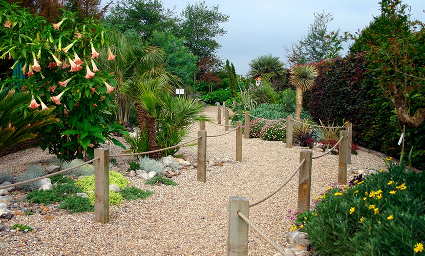 Image 8: Priory Maze and Gardens Entry