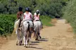 Ruta a caballo de 1 hora en Montserrat con guía experto para 1 o 2 personas, con hasta un 26% de descuento - Second Medium