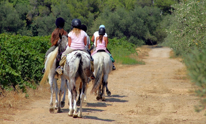 Image 2: ¡Descubre la emoción de cabalgar en Montserrat!